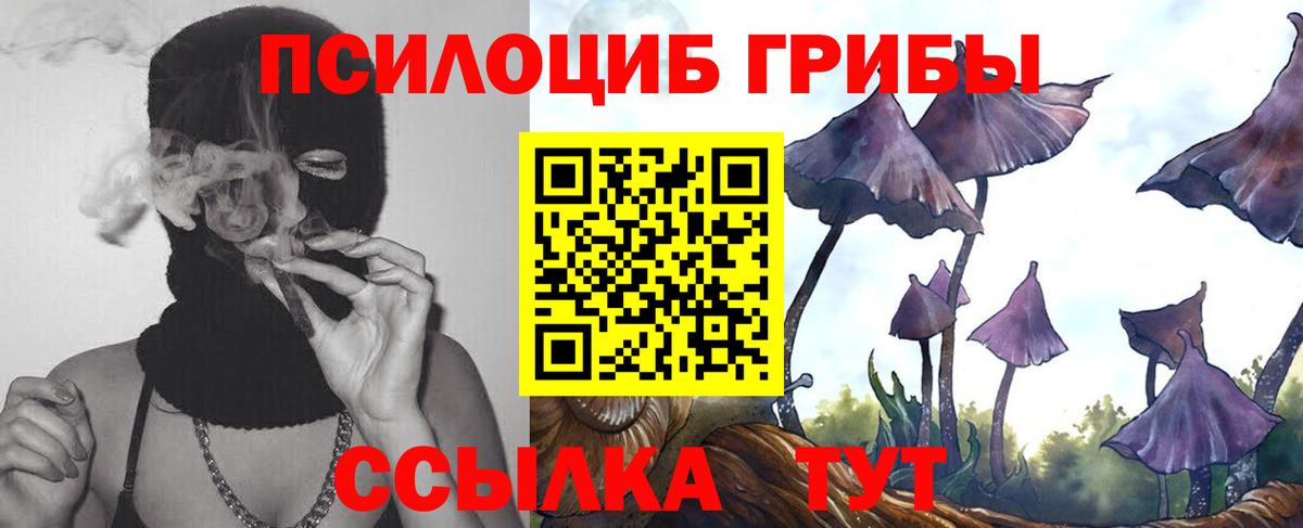 Галлюциногенные грибы Magic Shrooms Люберцы
